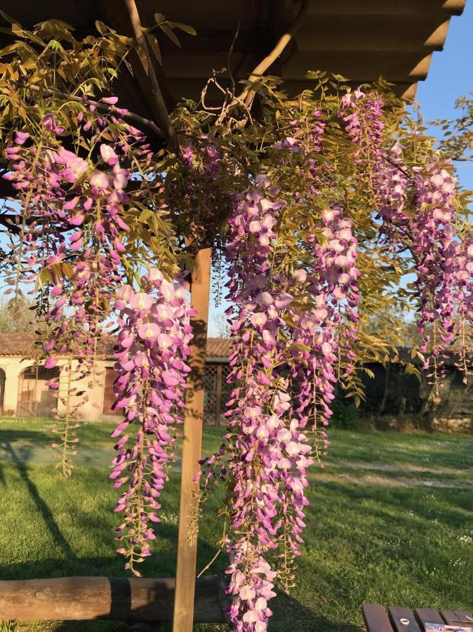 Agriturismo Corte Galvagnina Cesole Luaran gambar