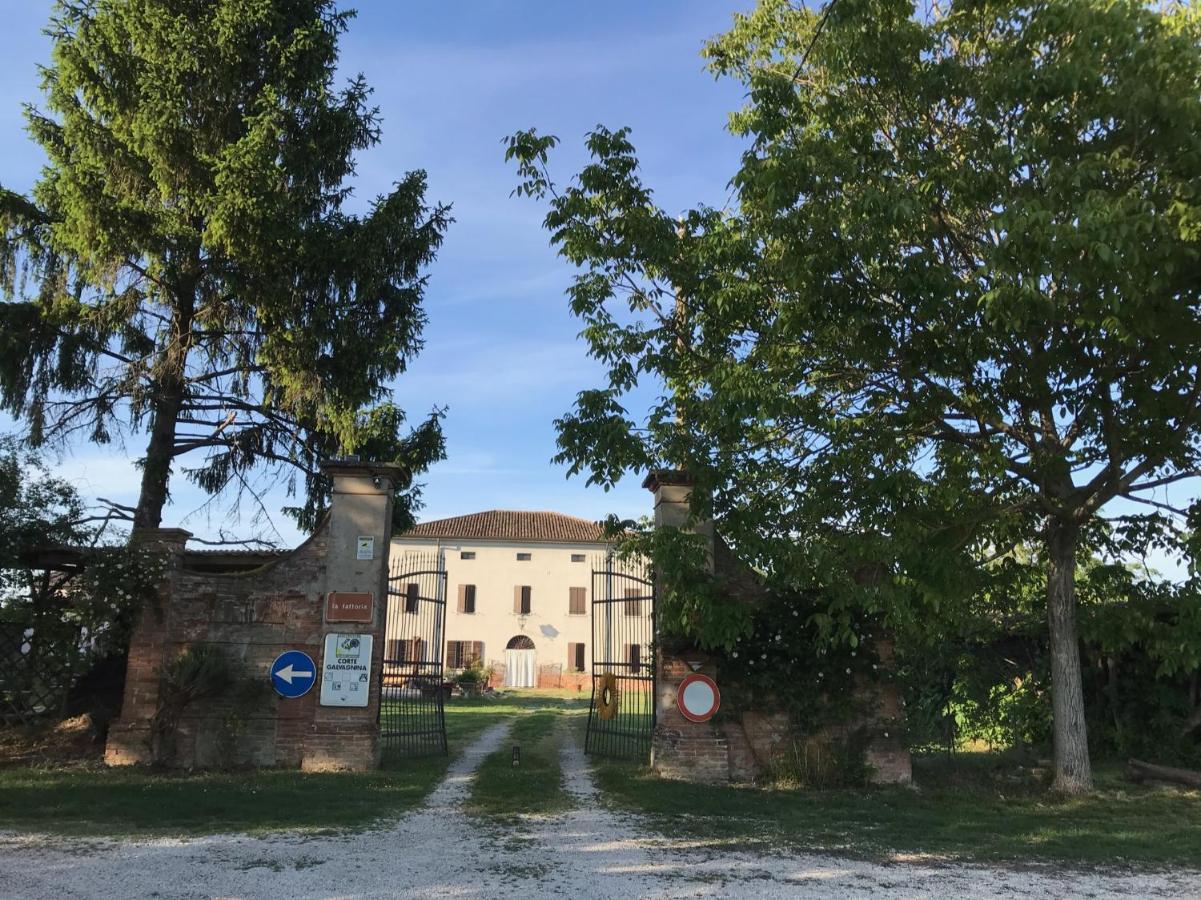 Agriturismo Corte Galvagnina Cesole Luaran gambar